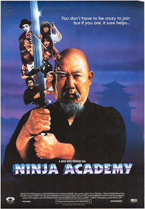 Loucademia de Ninjas (Ninja Academy)