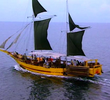 The Marooning