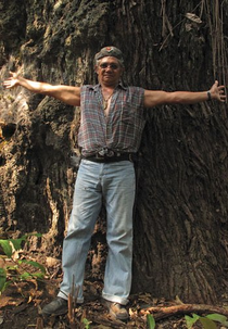 Toxic Amazônia (Toxic Amazon)