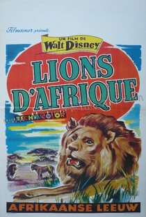 O Leão Africano - Poster / Capa / Cartaz - Oficial 1