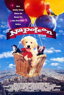 Napoleon: As Aventuras de um Cãozinho Valente - Poster / Capa / Cartaz - Oficial 1