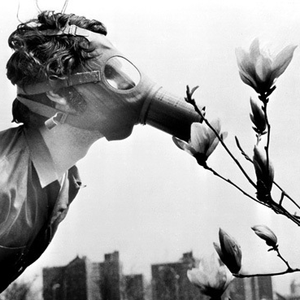 Foto de perfil de Vinícius