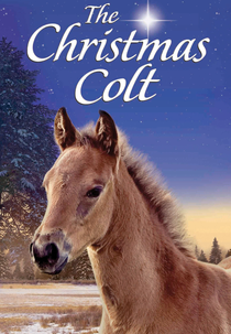 O Potro De Natal (The Christmas Colt)
