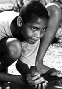 Rota de Colisão (Rota de Colisão)