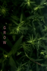 Grow (Groeien)