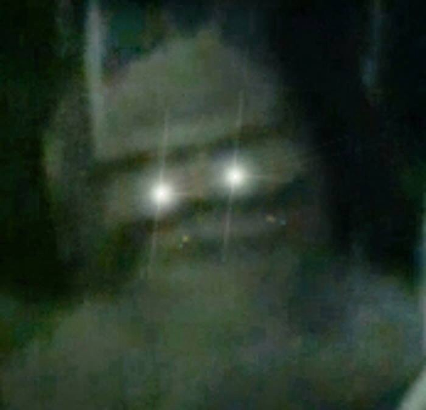eu - Foto 4