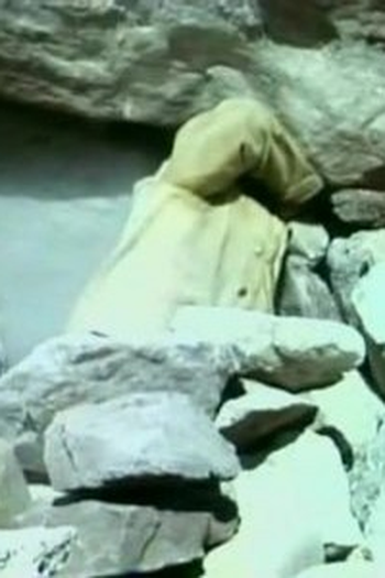Poster de Episódio The Hide Cutters (1968)