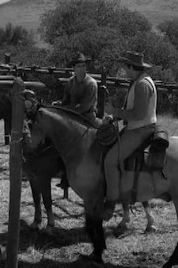 Poster de Episódio Sunday Supplement (1958)