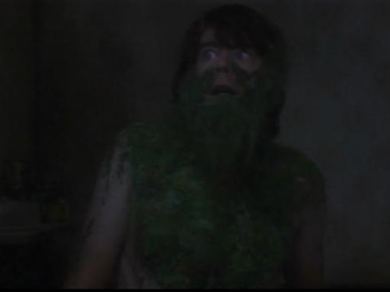 Foto 5 de Creepshow: Arrepio do Medo