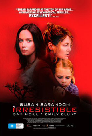 Poster 4 de Filme Identidade Roubada (2006)