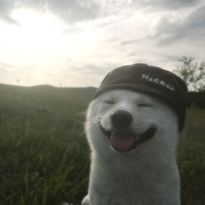 Foto de perfil de Samuel