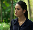 ตอนที่ 17