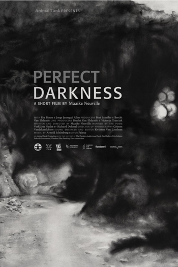 Poster de Curta Perfect Darkness (2016)