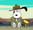 Beagle vs. Bug