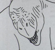 The Moschops