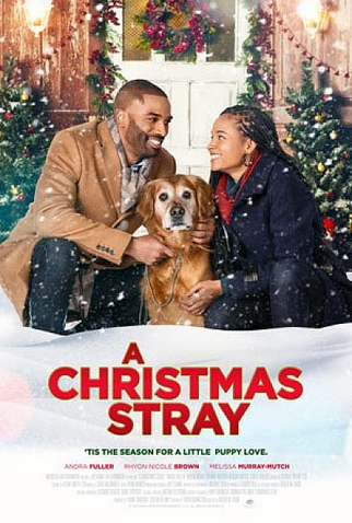 Poster 2 de Filme A Christmas Stray (2021)