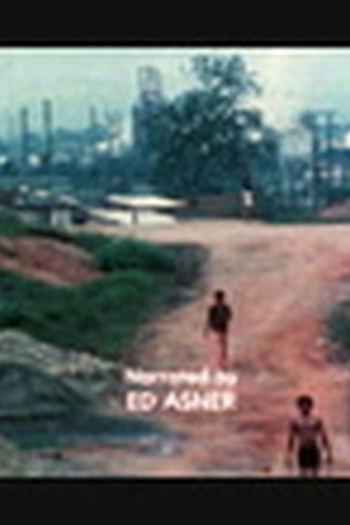  de Curta Americas in Transition (1981)