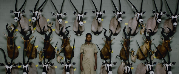 Assista ao trailer de Sáfari, filme sobre a indústria da caça