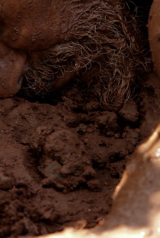 Poster 2 de Curta Casa Afogada (2011)