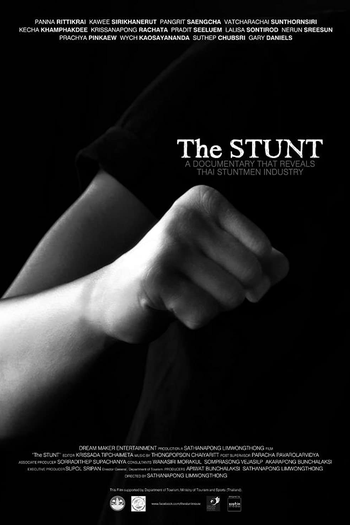 Poster de Filme The Stunt (2013)