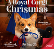 O Natal Real dos Corgi