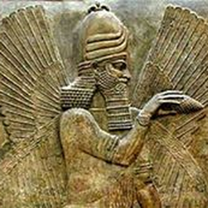 Foto de perfil de Baal