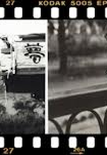 Chá verde e arroz (Chá verde e arroz)