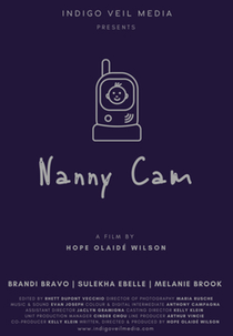 Nanny Cam (Nanny Cam)