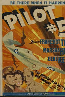 O Piloto Nº 5 - Poster / Capa / Cartaz - Oficial 1