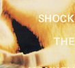 Peter Gabriel: Shock the Monkey