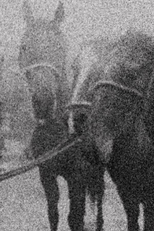 Aftermath (Aftermath)