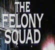 Felony Squad (1ª Temporada)