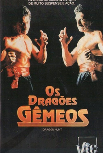 Os Dragões Gêmeos - Poster / Capa / Cartaz - Oficial 2
