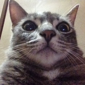 Foto de perfil de Renata