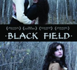 Black Field