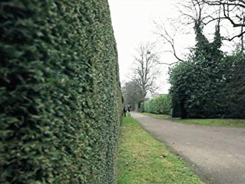 Foto 3 de After Death