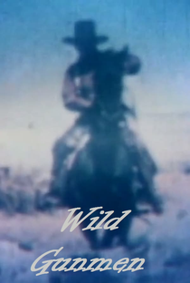 Wild Gunman - Poster / Capa / Cartaz - Oficial 1