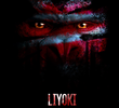 Liyoki