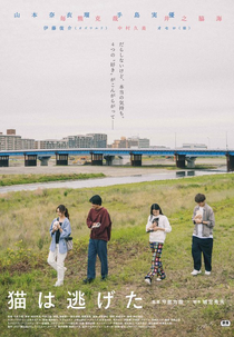 The Cat Ran Away (猫は逃げた)