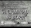 A Criminal is Born