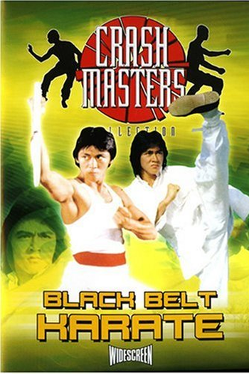 Poster de Filme Black Belt Karate (1977)