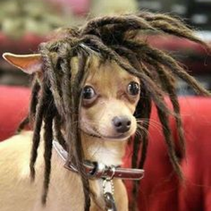 Foto de perfil de Gabriela