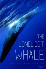 The Loneliest Whale: The Search For 52 (The Loneliest Whale: The Search For 52)