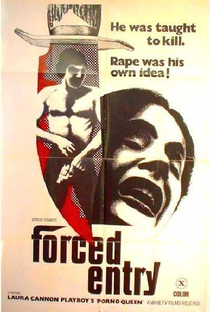 Forced Entry - Poster / Capa / Cartaz - Oficial 1