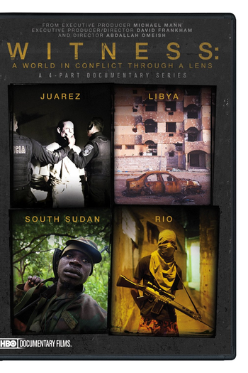 Poster de TV Witness (2012)