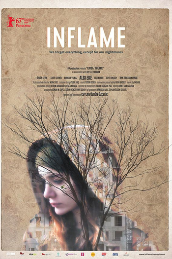  de Filme Inflamar (2017)