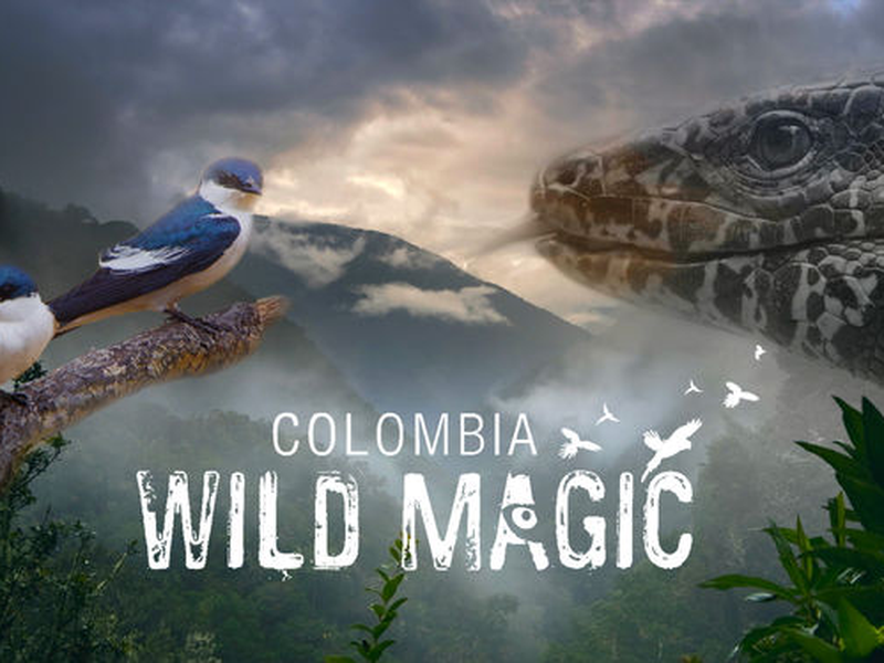 Foto 2 de Colombia Wild Magic