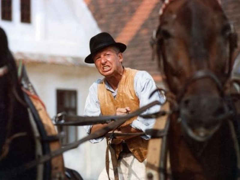 Foto 4 de Sekal Deve Morrer