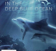 Dolphins in the Deep Blue Ocean