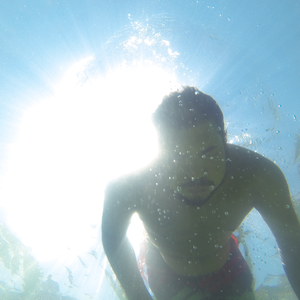 Foto de perfil de Felipe Carvalho